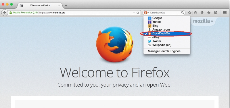 Mozilla festeggia i 10 anni di Firefox
