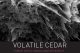 Check Point individua la campagna di cyberspionaggio “Volatile Cedar”