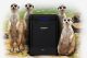 QNAP TS-453mini, storage compatto per i piccoli uffici