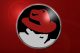 Il team Red Hat abbraccia la Open Organization
