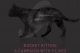Check Point svela i piani criminali di Rocket Kitten