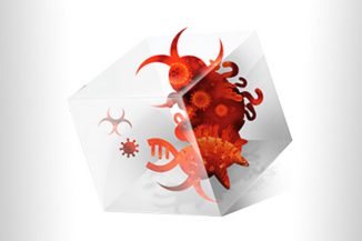 Check Point, i malware e gli attacchi alle reti globali