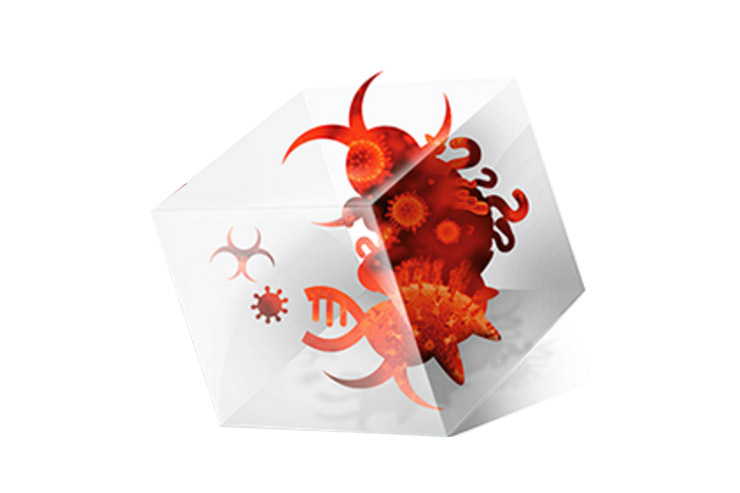 Check Point, malware in crescita del 17% a dicembre