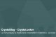 Achab inaugura www.cryptolocker.it, per conoscere i CryptoVirus