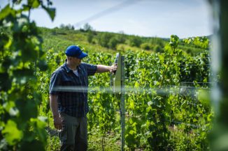 Ericsson, connettività sicura per l’IoT e il settore vinicolo