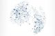Nozomi Networks