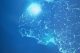 IBM MaaS360 integra il supporto remoto targato TeamViewer