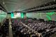 Netcomm Forum, presenze al top nel 2017 e tanta innovazione
