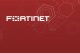 Fortinet, il cloud farà crescere l’attenzione per la sicurezza