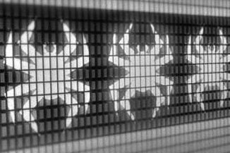 check point software technologies