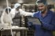 L’azienda italiana Esisoftware si affida a Panasonic