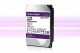 WD Purple 12 TByte, l'AI migliora la videosorveglianza