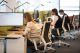 Rumore negli uffici open space? Plantronics cerca la soluzione