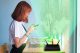 Palo Alto, anche i router domestici attirano I cybercriminali