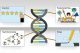 DevOps, Compuware svela importanti miglioramenti per Topaz