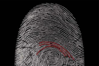 Verizon, attenzione alle minacce informatiche interne