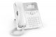 Snom lancia il nuovo terminale IP entry level D717