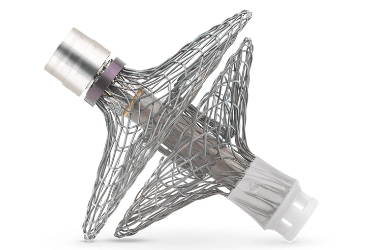 Vectorious, microcomputer wireless con IA per il cuore