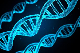 Kaspersky, il coronavirus raggiunge il Web