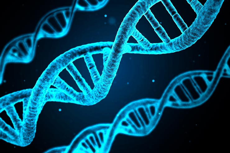 Kaspersky, il coronavirus raggiunge il Web