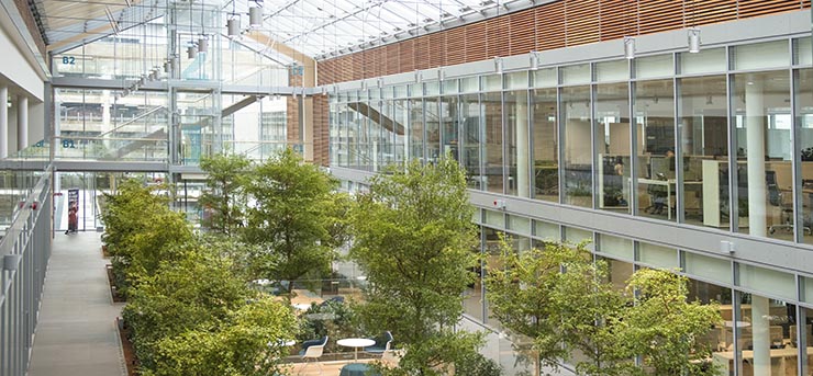 IBM riconfermato partner tecnologico da Prysmian Group