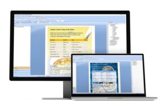 SAP Crystal Reports 2020