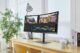 monitor professionali