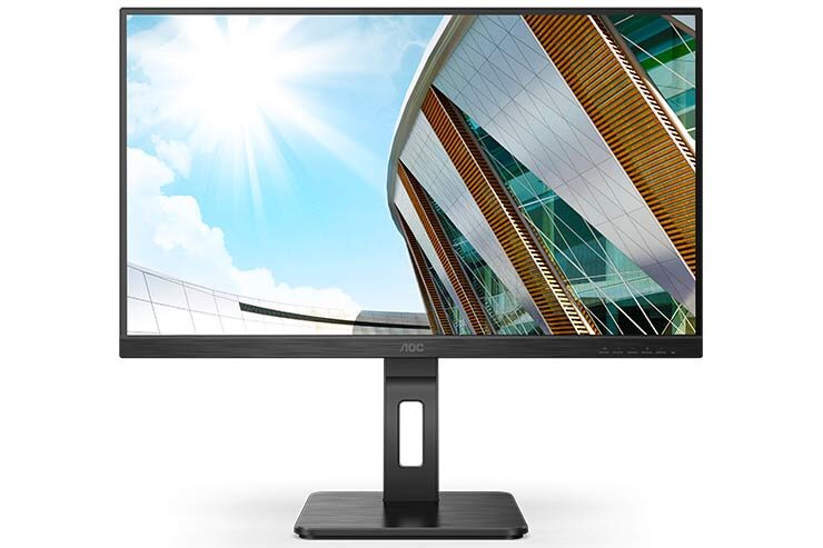 monitor professionali
