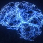 capacità di analisi esplorativa