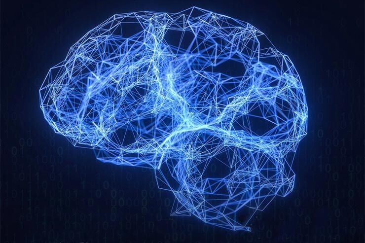 capacità di analisi esplorativa