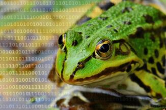 botnet
