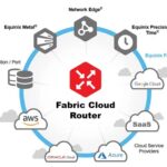Fabric Cloud Router
