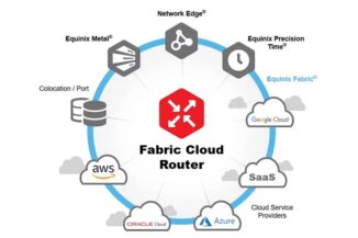 Fabric Cloud Router