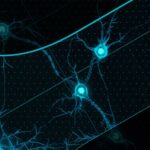Sentinel ai