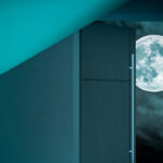 backdoor