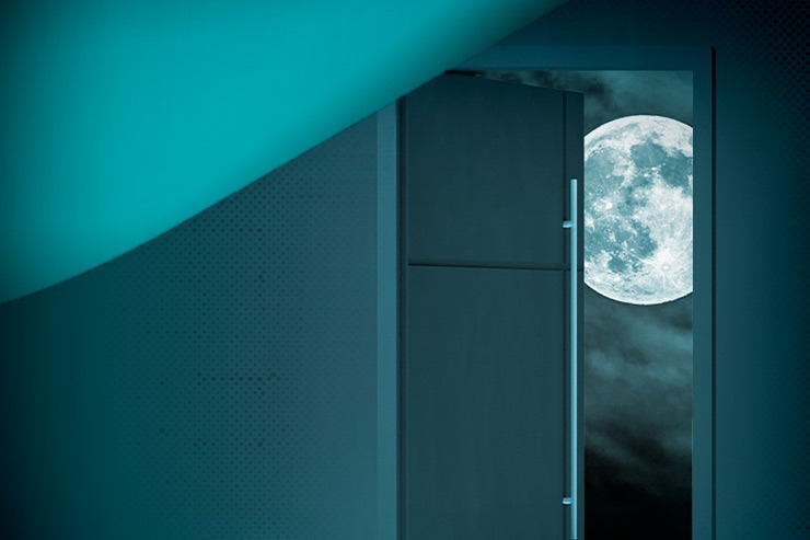 backdoor