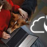 digital workplace