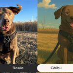 Ghibli