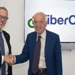 FiberCop