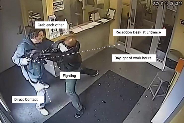 videosorveglianza 