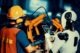 robotica industriale